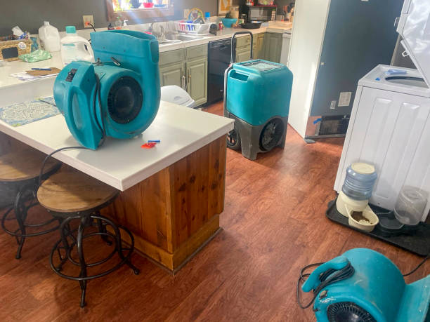 Best Water damage restoration near me  in Taft, CA