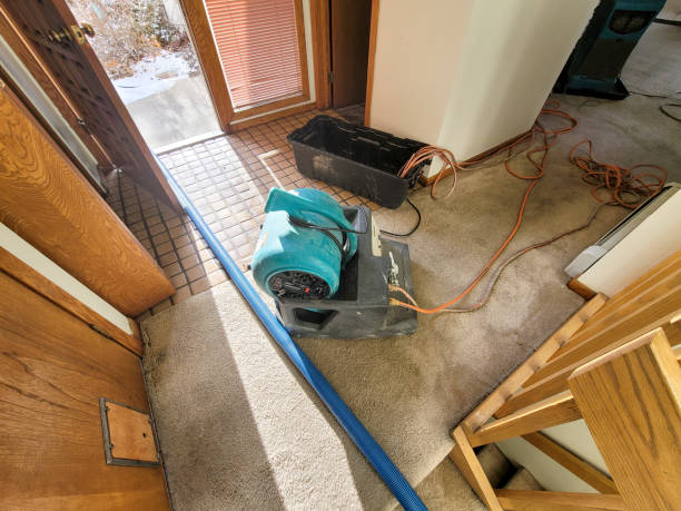 Best Professional water damage repair  in Taft, CA