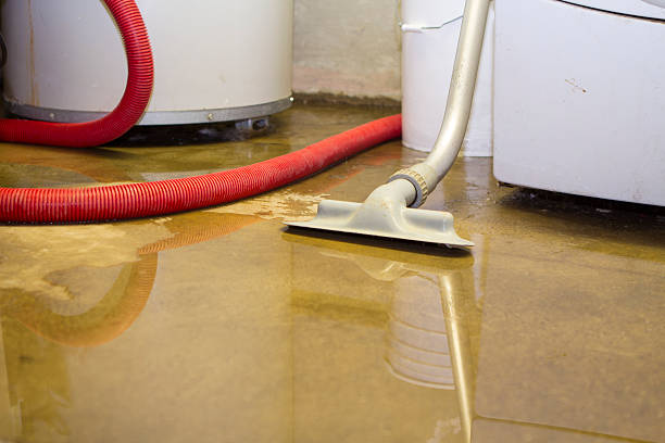 Best Flood damage cleanup  in Taft, CA