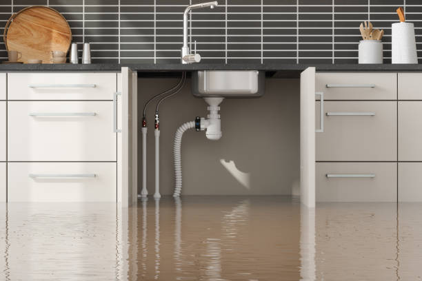 Best 24-hour water damage restoration  in Taft, CA