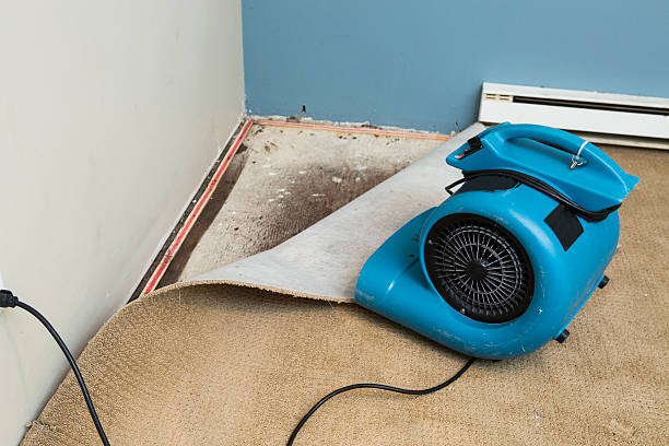  Taft, CA Water damage restoration Pros